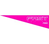 FAST - Racing Neo (für Wii U)